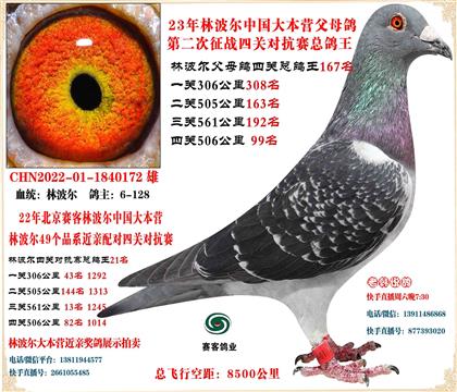 22�ֲ����Ĺظ���21���Ӵ�23����135��24����120��