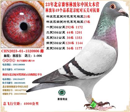 23�ֲ����й���Ӫ���׻�Ѫ���ظ���21����24����129��