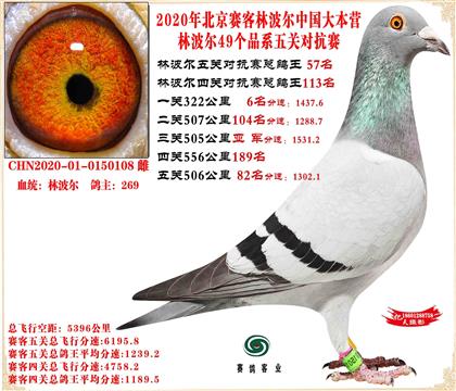 20�ֲ������׻�Ѫ����ܸ���57���Ӵ�23�����ܸ���8��