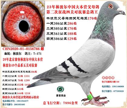 20�ֲ������׻�Ѫ����ܸ���106���Ӵ�21����52��