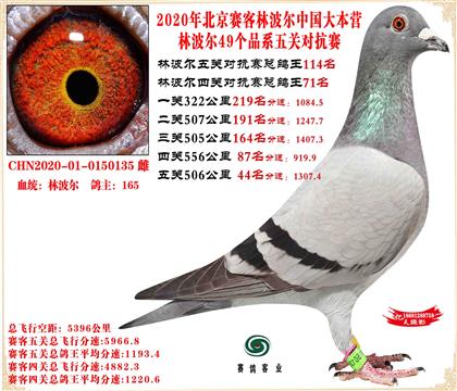 20�ֲ������׻�Ѫ����ܸ���114���Ӵ�23����53��