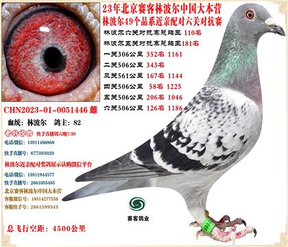 23�ֲ��������ܸ���110��ͬ��506���＾�����Ĺ��ܵ��