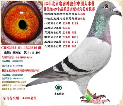 23�ֲ������ظ���148��ƽ��22����15������25���ܵ��