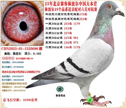 23�ֲ������׻�Ѫ�����ܸ���175��ͬ��23����137��