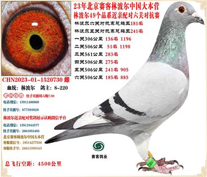 23�ֲ������ظ���181��ͬ��23����107��ĸɳ���ӳ�����