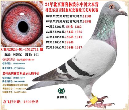 24�ֲ������������ܸ���111��ƽ�����ܵ����25����38��