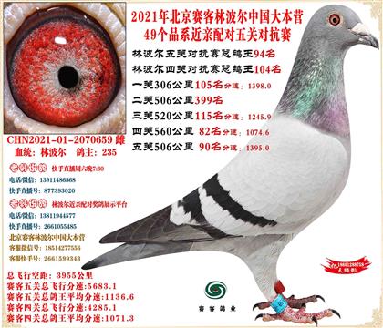 21�ֲ�����Ѫ����ܸ���94��ƽ��17���ܵ��18����58��