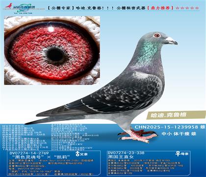 ����.��³�񣡣���������������