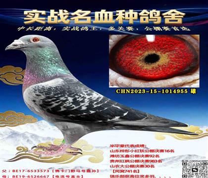 ����ѡ�ַ���