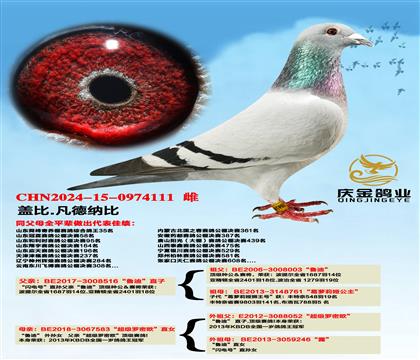 �Ǳ�.�����ɱȡ�³�ϡ�ֱ��x����������ŷ��ֱŮ