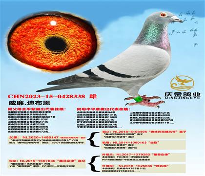 ����.�ϲ���������ƥ��쫷�š�ֱ��x��ī�ƶ��ɡ�ֱŮ