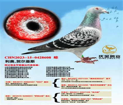 ����.�ն���˹��003��ֱ��x�����λ���ԡ�����Ů