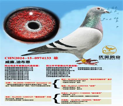 ����.�ϲ���������ƥ��쫷�š�ֱ��x��ī�ƶ��ɡ�����