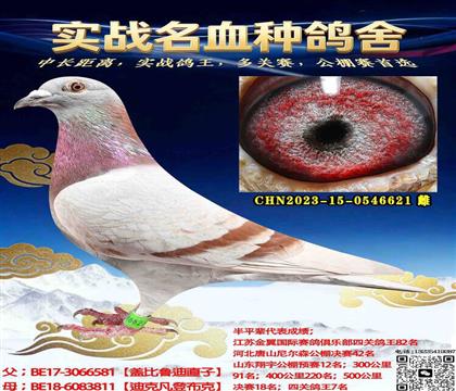 ƽ�����ظ����ܹھ�