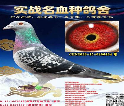 �����ϲ���쫷��ֱ��