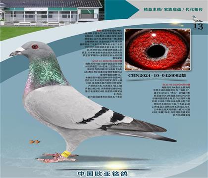 ����041Xɣ��ʿ006