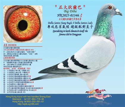 �����x�ϵҠ��Ͷ��ؽ��H