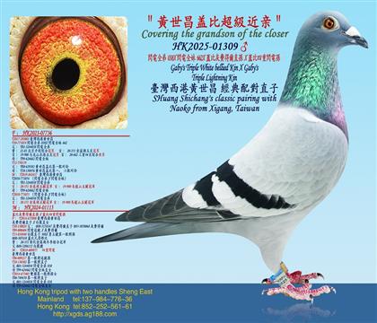 �W�ȫ��038X�W�ȫ��662X�w�Ȼ��M�à�ֱ�OX�w�������W