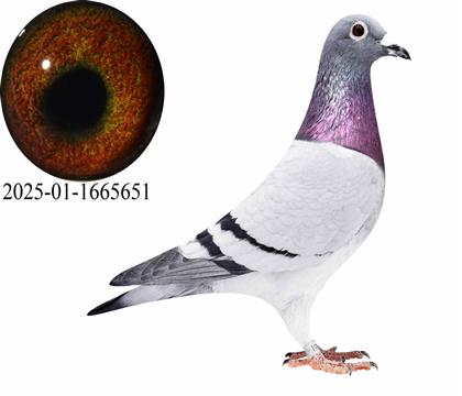 �Ϸ�̫���Ǹ����ھ���Ů651