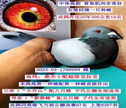 С��ɽ���Ͻ�-ֱŮ