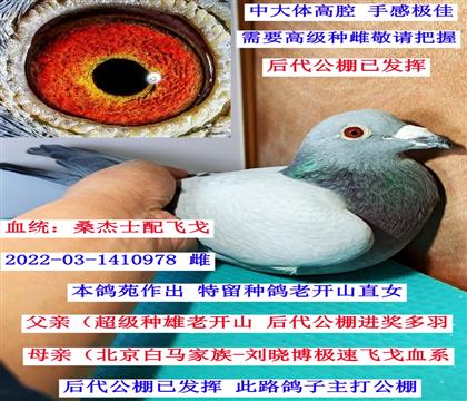 �Ͽ�ɽ--����ֱŮ