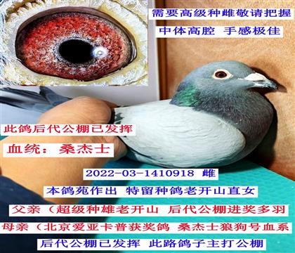 �Ͽ�ɽ--ɰ��ֱŮ