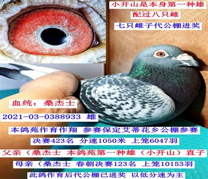 С��ɽ--ֱ��