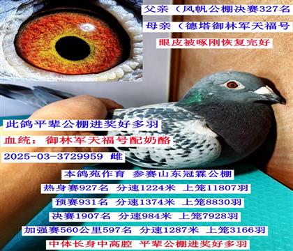 ������־��������츣��Ѫϵ��