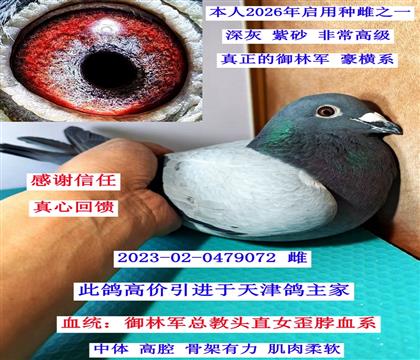 ������־��ܽ�ͷ���ᲱѪϵ��