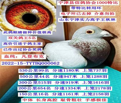 ˫�ظ���5�������ǲ��ˣ�