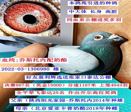 ̩�﹫��667������˹���������ң�