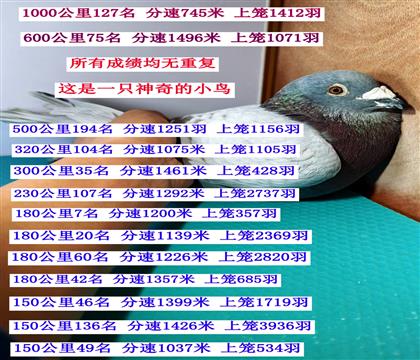 ����С��