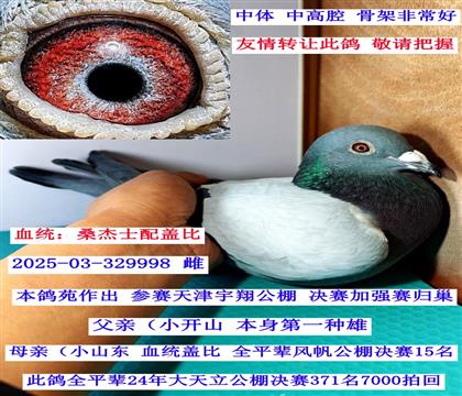 С��ɽֱŮ-����������蹫��鳲