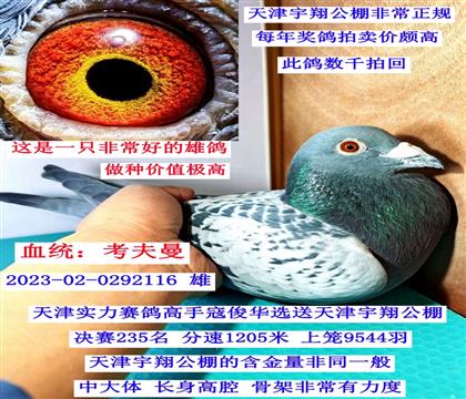 ������蹫��235������������