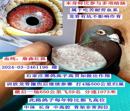 650����59��