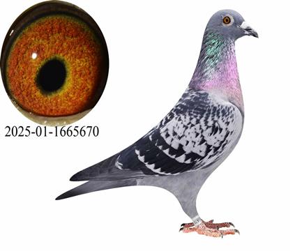 ��ѻ��ض�����670��