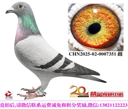 �����������롱098��������Ů