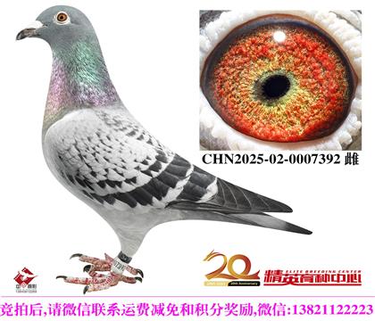 ���ǲ�������ѻ��ض�/�ٶ��۷�