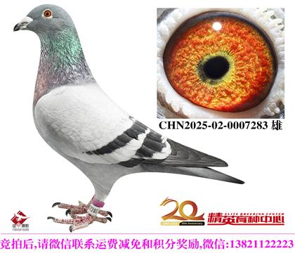 �Ǳȼ��徭�����ֱ��