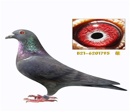 ��ķ�������� ����ȭ��795