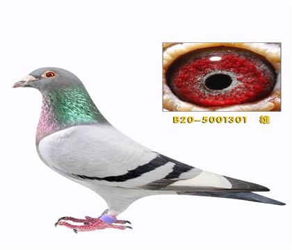 ������켱�ٷɸ�301