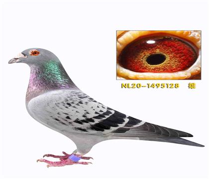 �����˹����ֱ��128