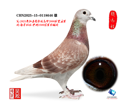 ��أ�2000������Ҵ�Ǿ�ֱ��