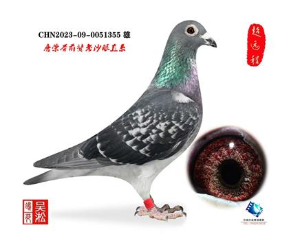 ��أ�����Ծ��10��ɰ��ֱ��