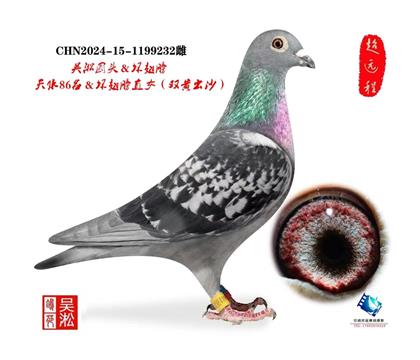 ����Բͷ��ˮ86��ֱŮ