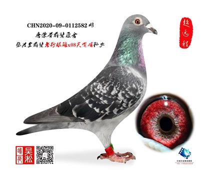 ����Ծ������񽱸�֮ĸ