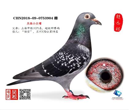 �򡤿����裺����71��ֱŮ