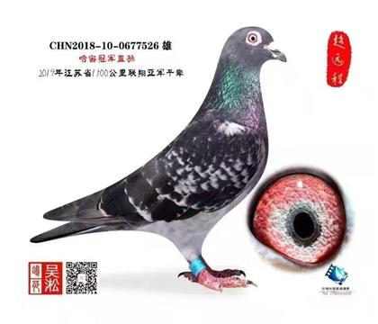 2700������ܹھ�ֱ��