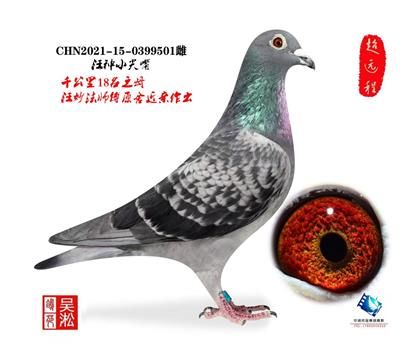 ���֣��ӱ�����ǧ����18��֮ĸ