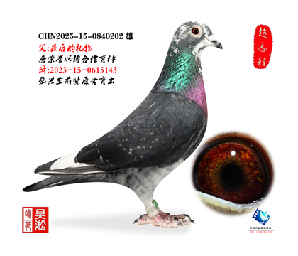 ����Ծ��